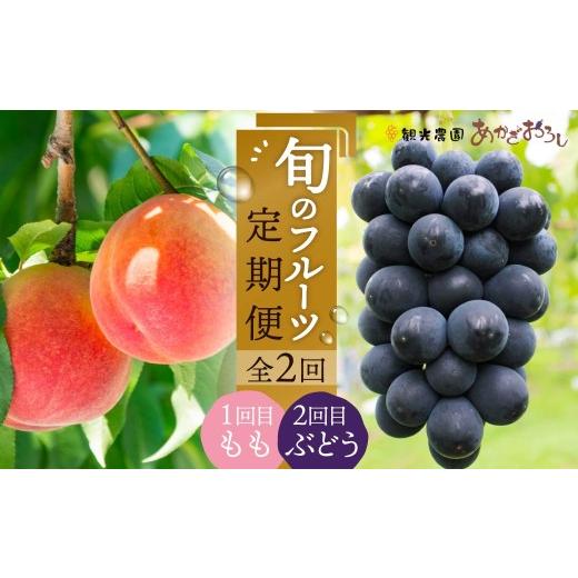 ふるさと納税 もも 群馬県 前橋市 フルーツ 食べ比べ 4kg 桃 ぶどう 定期便 先行予約 数量限定 | 期間限定 桃 フルーツ 果物 産地直送 限定品 贈り物 新鮮 お…