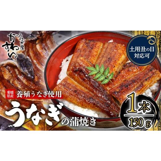 ふるさと納税 うなぎ 愛媛県 松山市 容量選択可 土用丑の日 7月24日にお届け [うなぎ屋かわすい]愛媛県松山市養殖うなぎを使用 うなぎ蒲焼 1本 (1尾:150〜…