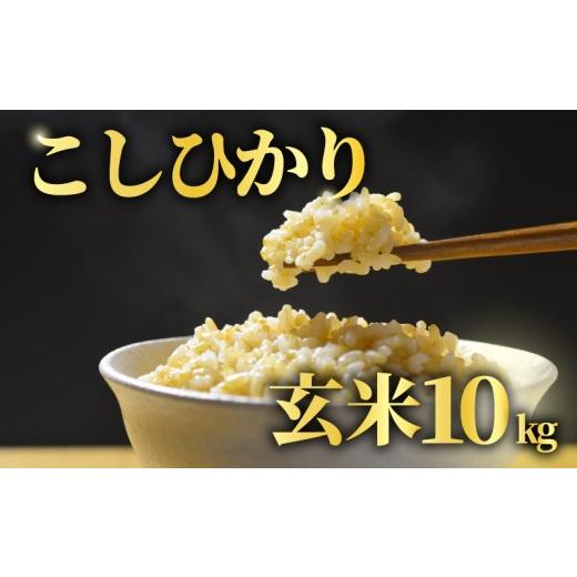 ふるさと納税 玄米 千葉県 旭市 先行予約 玄米 10kg こしひかり 令和8年産 米 コシヒカリ 2026年 8年産 R8米 R8 令和8年産米 お米 ご飯 こめ コメ kome ごは…