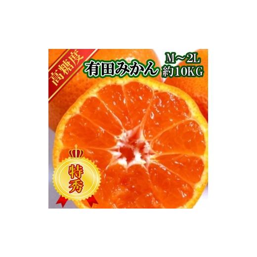 ふるさと納税 果物類 みかん 和歌山県 美浜町 先行予約 特秀品 有田みかん 和歌山県産 約10kg(M〜2Lサイズ混合)