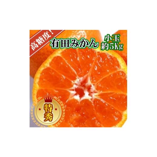 ふるさと納税 果物類 みかん 和歌山県 美浜町 先行予約 特秀品 有田みかん 和歌山県産 約5kg(小玉 S〜Mサイズ混合)