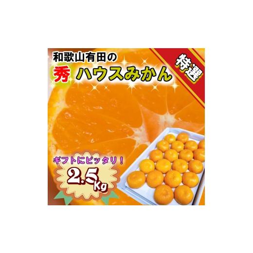 ふるさと納税 果物類 みかん 和歌山県 美浜町 6月発送 特選 赤秀 ハウスみかん 和歌山有田 約2.5kg (S〜Lサイズ混合) 6月発送