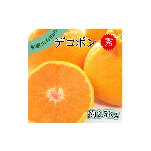 ふるさと納税 みかん・柑橘類 デコポン 和歌山県 美浜町 先行予約 秀品 デコポン 和歌山有田 約2.5kg