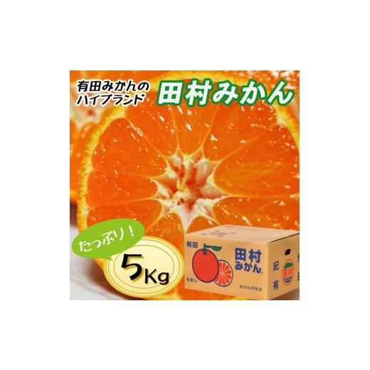 ふるさと納税 果物類 みかん 和歌山県 美浜町 11月発送 先行予約 秀品 田村みかん 和歌山有田 約5kg 11月発送