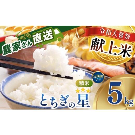 ふるさと納税 米 栃木県 真岡市 チョイス限定 数量限定 米 5kg とちぎの星 2026年先行予約 こめ コメ 精米 令和大嘗祭献上米 真岡市産