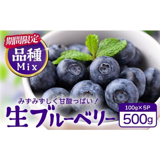ふるさと納税 果物類 鹿児島県 南大隅町 期間限定 南大隅産 (生)ブルーベリー 品種ミックス詰め合わせ 100g×5P BB-1 | 鹿児島県 南大隅町 旬 産地直送 果物…