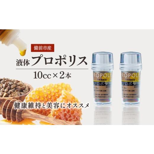 ふるさと納税 加工品等 はちみつ 岡山県 備前市 令和8年採取 純粋蜂蜜 液体 プロポリス10cc×2本セット
