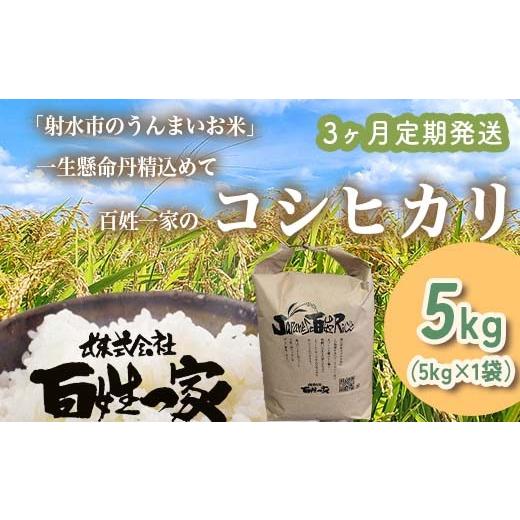 ふるさと納税 米 コシヒカリ 富山県 射水市 3ヶ月定期便 射水市 射水の美味しいお米 R8年産 百姓一家のコシヒカリ 5kg 精米 2026年10月〜発送