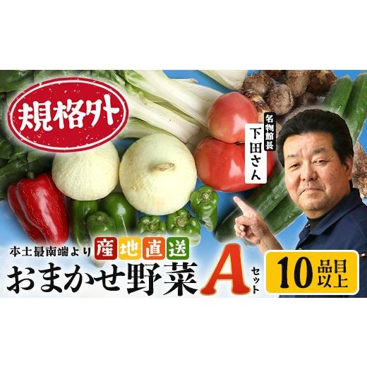 ふるさと納税 セット・詰合せ 鹿児島県 南大隅町 規格外 本土最南端から 旬のおまかせ野菜セットA 10品目以上 NI-3 | 旬 野菜 やさい 果物 くだもの 産地直…