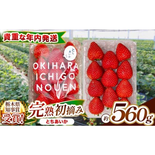 ふるさと納税 いちご 栃木県 矢板市 先行予約 数量限定 貴重な12月発送 新定番「初摘み とちあいか」 280g×2P| 澳原いちご農園 栃木県 矢板市 とちあいか 2…