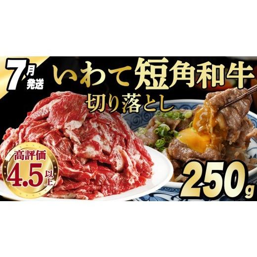 ふるさと納税 牛肉 岩手県 紫波町 7月発送 切り落とし 赤身 肉 牛肉 いわて 短角和牛 250g 小分けパック 真空冷凍 | 牛肉 肉 赤身 短角 和牛 国産牛 ブランド…