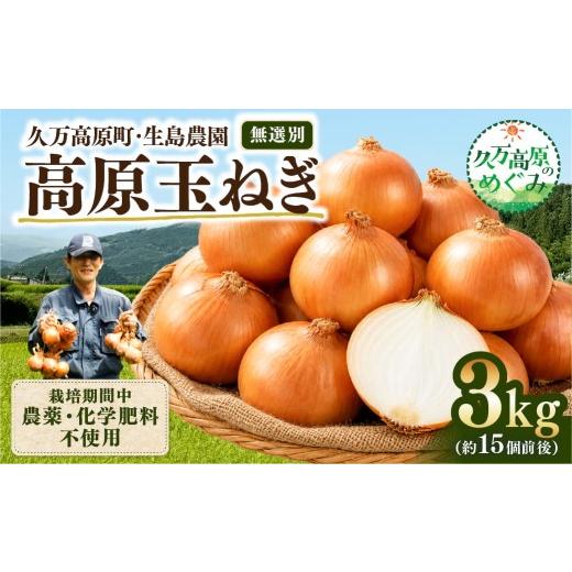 ふるさと納税 野菜類 玉ねぎ 愛媛県 久万高原町 先行予約 高原育ち 玉ねぎ 3kg(約15個前後)|栽培期間中 農薬・化学肥料不使用|久万高原町 生島農園 2026…