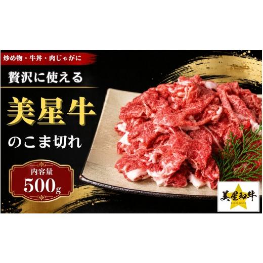 ふるさと納税 牛肉 岡山県 真庭市 岡山県 黒毛和牛 美星牛 こま切れ500g 国産 牛肉 msmt003-01