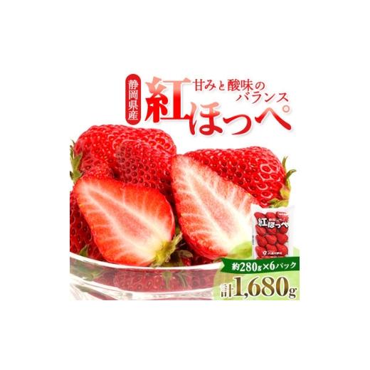ふるさと納税 いちご 静岡県 掛川市 発送月固定定期便 静岡県掛川市産 ミズノ農園 紅ほっぺ280g×6・完熟いちじくDXパック全2回 4086594