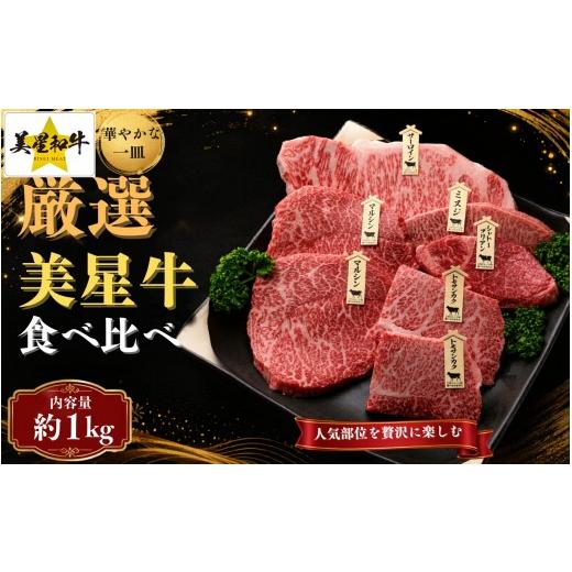 ふるさと納税 牛肉 セット 岡山県 真庭市 岡山県産 黒毛和牛 美星牛 贅沢ステーキ食べ比べセット 約1kg 国産 牛肉 msmt005-01