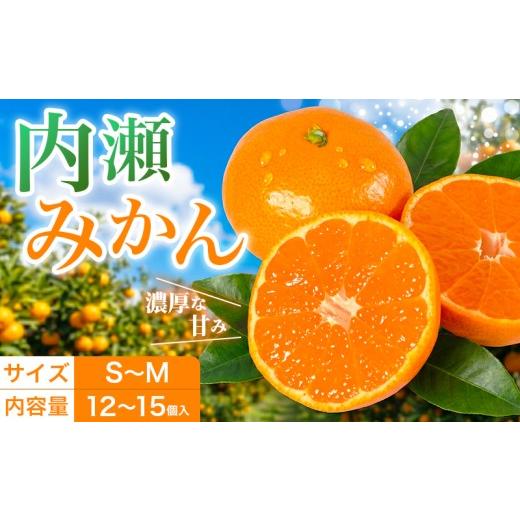 ふるさと納税 果物類 みかん 三重県 南伊勢町 先行予約 みかん 温室みかん 約12〜15個入 数量限定 期間限定 温州みかん 内瀬みかん アサヒ農園 柑橘 蜜柑 フル…