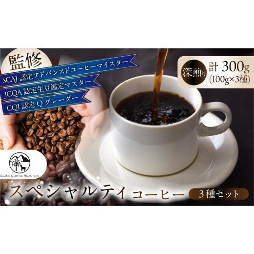 ふるさと納税 コーヒー コーヒー豆 愛知県 豊橋市 スペシャルティコーヒー豆 3種セット 計300g 深煎り / 豆 コーヒー豆 コーヒー 豆 焙煎 自家焙煎 スペシャ…