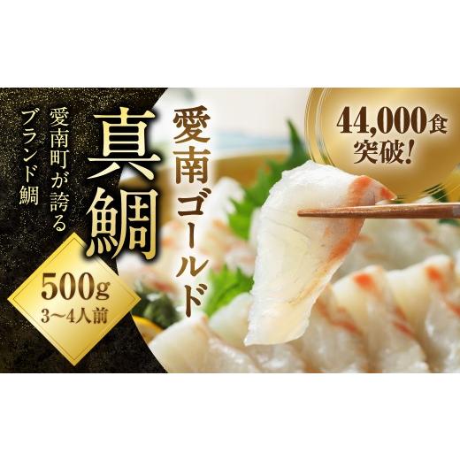 ふるさと納税 魚貝類 鯛 愛媛県 愛南町 藻塩付き 訳あり チョイス限定 愛南ゴールド真鯛 合計約500g チョイスアワード大賞受賞 ESSEグランプリ金賞受賞 刺身…