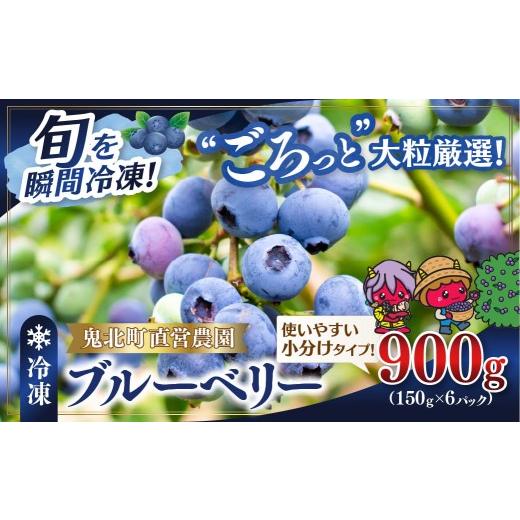 ふるさと納税 果物類 愛媛県 鬼北町 先行予約 選別済み大粒 冷凍ブルーベリー900g(150g×6P) | 選別済み 大粒 国産 個包装 小分け 冷凍 鬼北町直営農園 果…