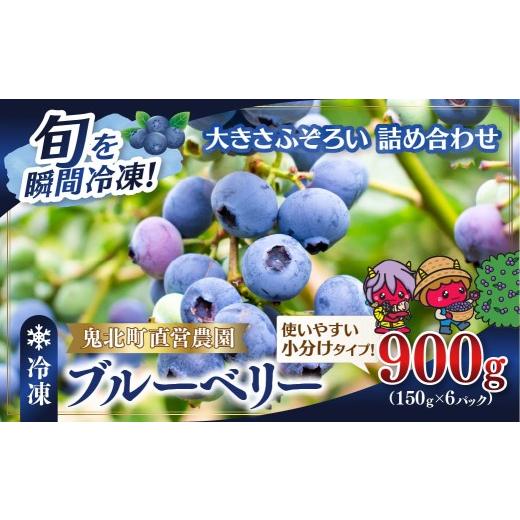 ふるさと納税 果物類 愛媛県 鬼北町 先行予約 大きさ形ふぞろい 冷凍ブルーベリー900g(150g×6P) | 無選別 不揃い 国産 個包装 小分け 冷凍 鬼北町直営農園…