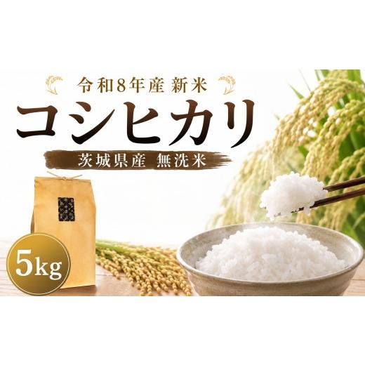 ふるさと納税 無洗米 茨城県 筑西市 新米 コシヒカリ 5kg 精米 米 令和