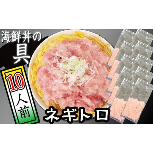 ふるさと納税 魚貝類 岩手県 滝沢市 簡単 流水解凍 海鮮丼の具 ネギトロ 10人前 十六家 刺身 刺し身 さしみ 生食 生食用 海鮮 海鮮丼 冷凍 ねぎとろ 鮪 まぐろ…
