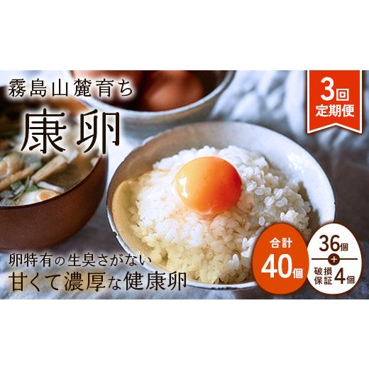 ふるさと納税 卵(鶏、烏骨鶏等) 宮崎県 えびの市 2026年9月下旬発送開始 卵 3回定期便 霧島山麓育ち こだわり卵 康卵 計40個(36個 + 割れ保証4個)3回 計 …