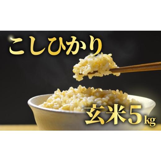 ふるさと納税 玄米 千葉県 旭市 先行予約 玄米 5kg こしひかり 令和8年産 米 コシヒカリ 2026年 8年産 R8米 R8 令和8年産米 お米 ご飯 こめ コメ kome ごはん…