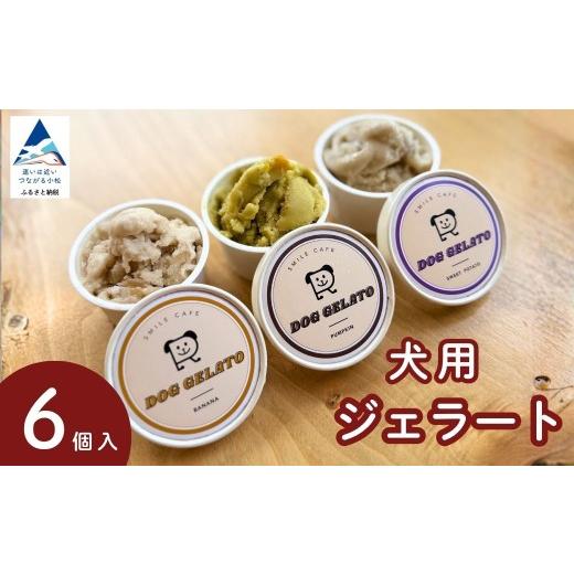 ふるさと納税 アイス・ヨーグルト ジェラート 石川県 小松市 犬用 ジェラート 6個セット アイス ヒューマングレード 愛犬 おやつ いぬ わんちゃん 食べ比べ …