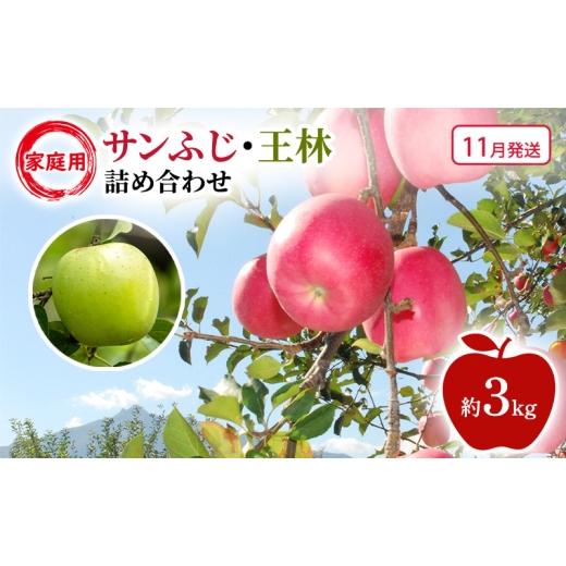 ふるさと納税 りんご 青森県 鶴田町   11月発送 家庭用 サンふじ・王林 詰め合わせ 約3kg 果物類 フルーツ 林檎 リンゴ 鶴田町 青森県 おやつ デ…