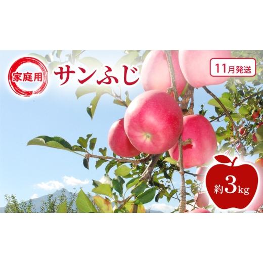 ふるさと納税 りんご 青森県 鶴田町   11月発送 家庭用 サンふじ 約3kg 果物類 フルーツ 林檎 リンゴ 鶴田町 青森県 おやつ デザート