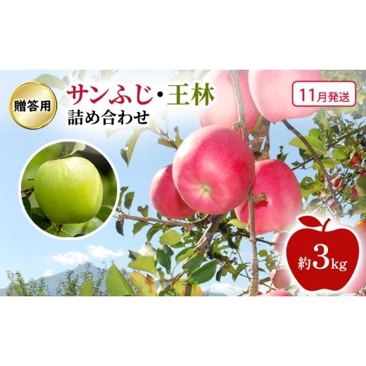 ふるさと納税 りんご 青森県 鶴田町   11月発送 贈答用 サンふじ・王林 詰め合わせ 約3kg 果物類 フルーツ 林檎 リンゴ 鶴田町 青森県 おやつ デ…