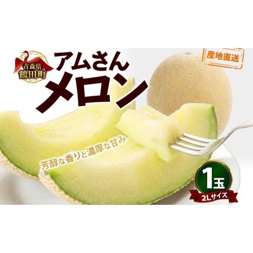 ふるさと納税 メロン メロン青肉 青森県 鶴田町   青森県産 つがりあんメロン 「アムさん」 2Lサイズ 1玉 完熟 甘い ジューシー ハウス栽培 弘果…