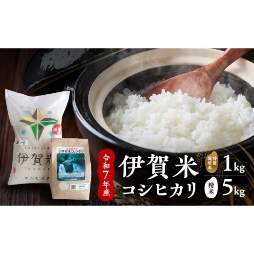 ふるさと納税 米 コシヒカリ 三重県 名張市 精米 令和7年産 伊賀米コシヒカリ 5kg+特別栽培米1kg お米 米 白米 こしひかり ごはん 三重県 名張市
