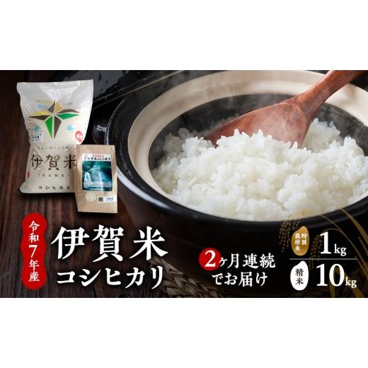 ふるさと納税 米 コシヒカリ 三重県 名張市 精米 令和7年産 伊賀米コシヒカリ 10kg+特別米1kg(2ヶ月連続) お米 米 白米 こしひかり ごはん 三重県 名張…