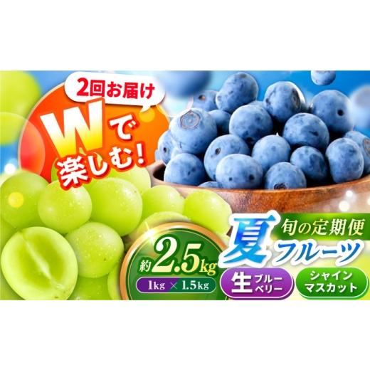 ふるさと納税 ぶどう マスカット 長崎県 大村市 フルーツ2回定期便(ブルーベリー 約1kg・シャインマスカット 約1.5kg) 大村市 おおむら夢ファームシュシュ/…