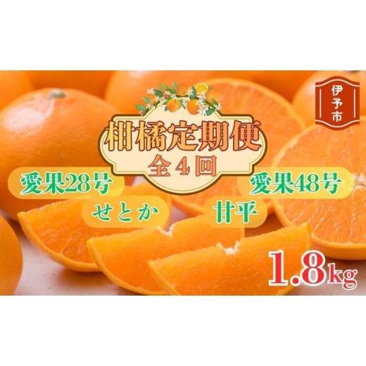 ふるさと納税 みかん・柑橘類 愛媛県 伊予市 2026年先行予約 柑橘定期便 全4回 12月から順次発送予定 約1.8kg みかん 愛果28号 せとか 甘平 愛果48号 柑橘 定…
