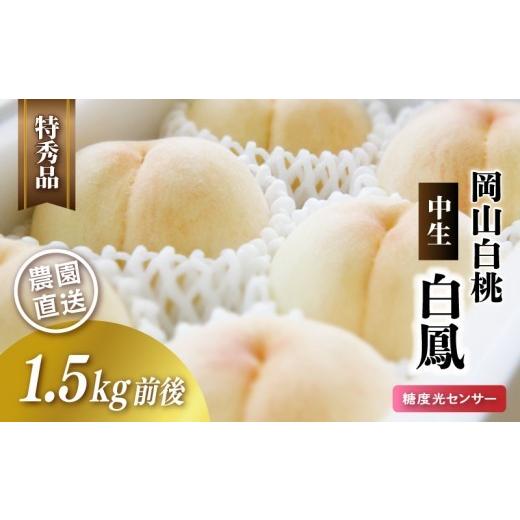 ふるさと納税 もも 岡山県 真庭市 岡山白桃(中生/白鳳)特秀品 1.5kg前後 糖度センサー momo20 / 中生 白桃 贈答 お中元 ギフト 産直 高級 フルーツ 果物 …