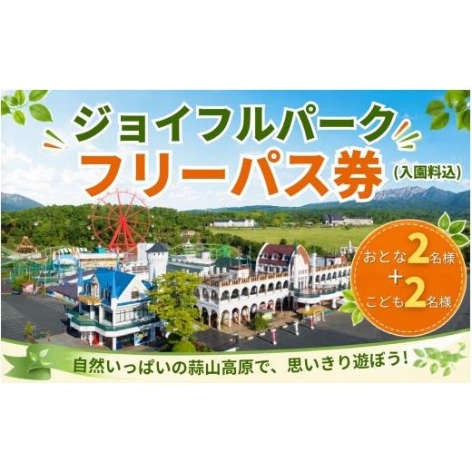 ふるさと納税 入場券・優待券 岡山県 真庭市 ヒルゼン高原センター ジョイフルパーク フリーパス券(入園料込) おとな2名様+こども2名様分 tkhr003-01