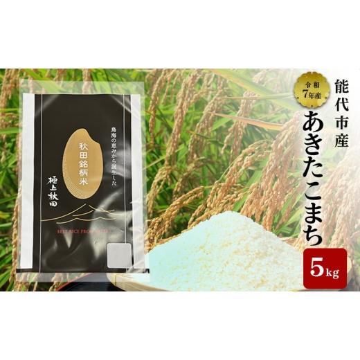 ふるさと納税 米 あきたこまち 秋田県 能代市 あきたこまち 令和7年度産 精米 5kg 米 お米 コメ こめ 白米 秋田県 能代市