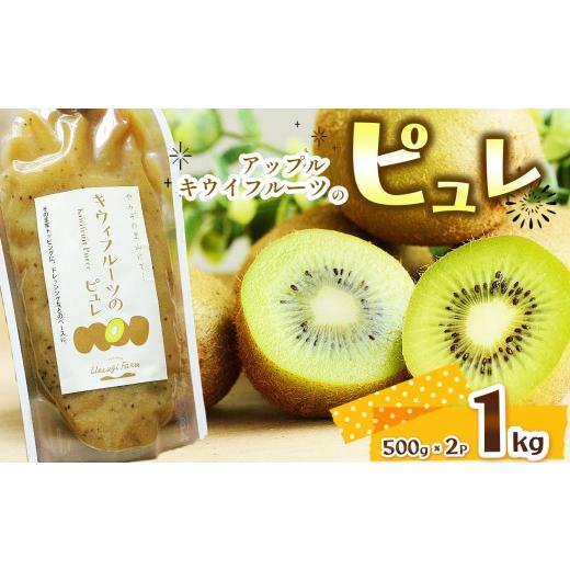 ふるさと納税 果物類 栃木県 那珂川町 アップルキウイフルーツのピュレ 1kg | 果物 ドレッシング ヨーグルト 美容意識 トッピング キウイフルーツ ピュレ フル…