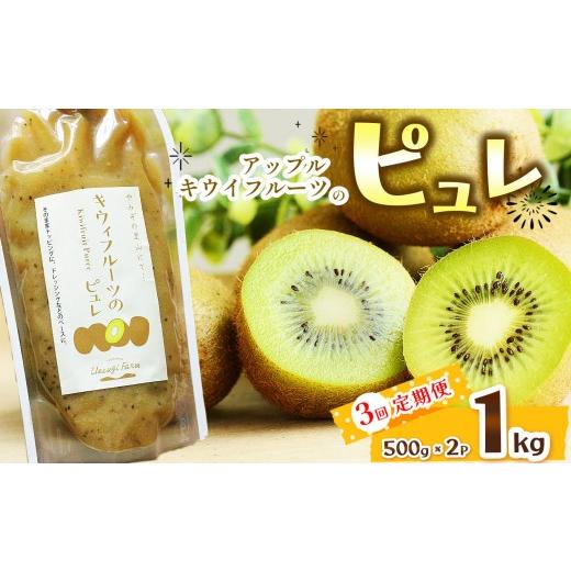 ふるさと納税 果物類 栃木県 那珂川町 定期3回 アップルキウイフルーツのピュレ 1kg | 果物 ドレッシング ヨーグルト 美容意識 トッピング キウイフルーツ ピ…