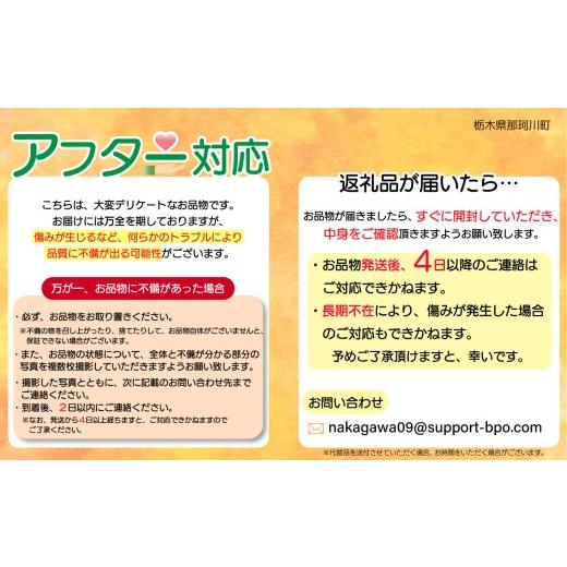 ふるさと納税 果物類 栃木県 那珂川町  定期6回 アップルキウイフルーツのピュレ 3kg | 果物 ドレッシング ヨーグルト 美容意識 トッピング キウイフルーツ ピ…_2