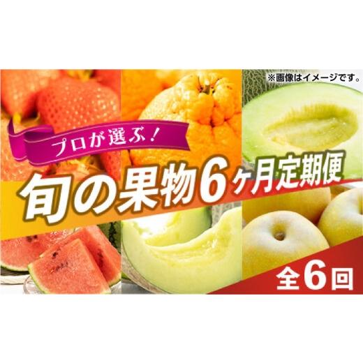 ふるさと納税 果物類 熊本県 山鹿市 先行予約 全6回定期便 プロが選ぶ 旬 の 果物 6ヶ月 定期便 くまふる