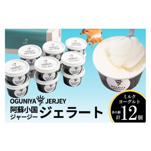 ふるさと納税 アイス・ヨーグルト ジェラート 熊本県 小国町 OGUNIYA JERJEY 阿蘇小国ジャージージェラート ミルク ヨーグルト 各6個 計12個 ゴールデンミル…