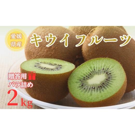 ふるさと納税 果物類 愛媛県 伊予市 2026年先行予約 キウイ バラ詰め 2kg 贈答用 農園直送 先行予約 10月中旬から順次発送予定 キウイフルーツ 愛媛 数量限定…