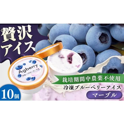 ふるさと納税 菓子 アイス 熊本県 菊陽町 令和8年度熊本地震復興支援 冷凍ブルーベリーアイス(ブルーベリーマーブル) 計10個セット / アイス あいす 氷菓子 …