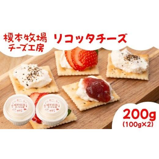 ふるさと納税 加工品等 チーズ 山口県 岩国市 リコッタチーズ 200g (100g×2) 榎本牧場チーズ工房 200g (100g×2)