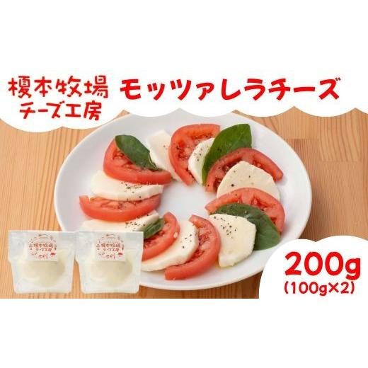 ふるさと納税 加工品等 チーズ 山口県 岩国市 モッツァレラチーズ 200g (100g×2) 榎本牧場チーズ工房 200g (100g×2)