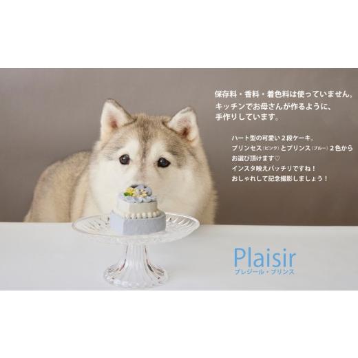 ふるさと納税 ケーキ・カステラ 東京都 世田谷区 ペットフード ハート型のケーキ プリンス Plaisir −プレジール− Kitchen Dog プリンス(ブルー系)